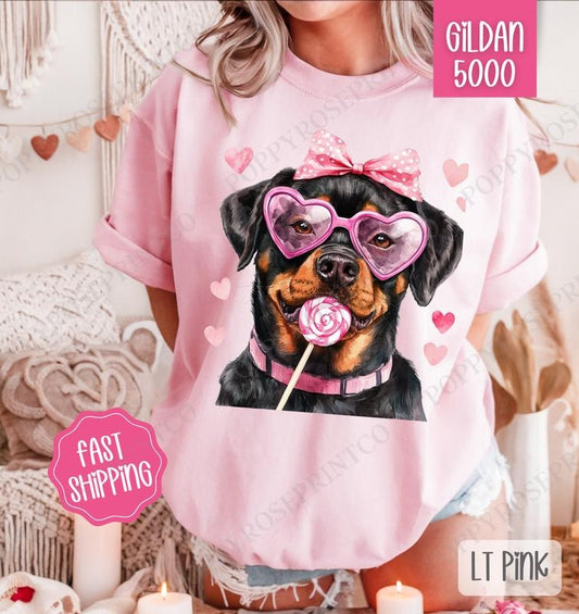 Valentine Rottweiler Shirt Gildan, Valentine's Day Women's Tee, Cute Women's Tshirt Plus Sizes