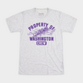 Washington Crew Retro T-Shirt Hoodie, Sweatshirt | CoreVibeTees.com