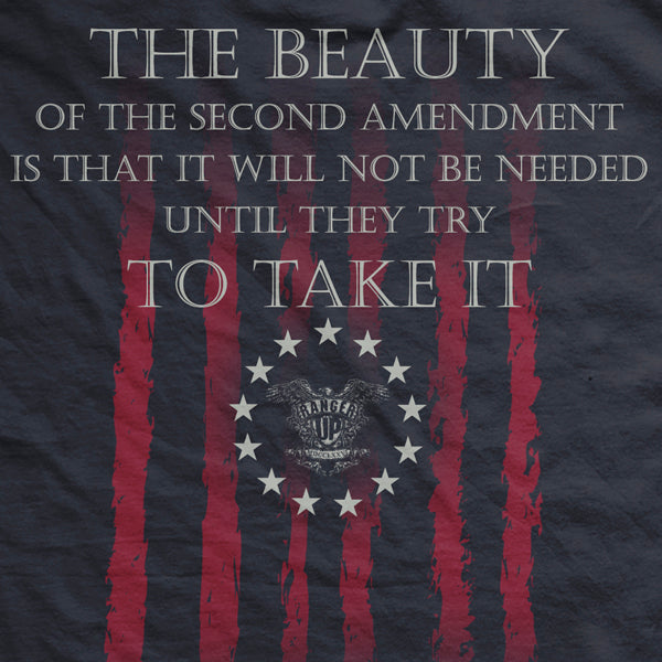 Beauty of the Second Amendment T-Shirt Hoodie, Sweatshirt | CoreVibeTees.com (Image 4)