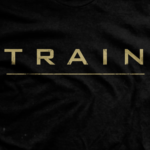 Train T-Shirt Hoodie, Sweatshirt | CoreVibeTees.com (Image 2)