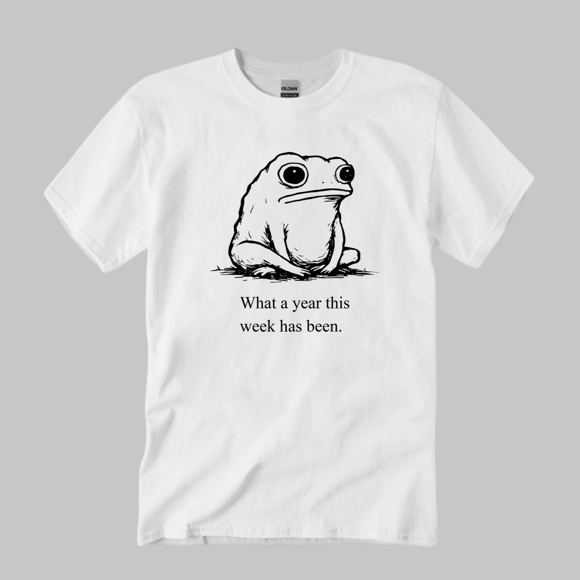 What A Year This Week Has Been T-Shirt
