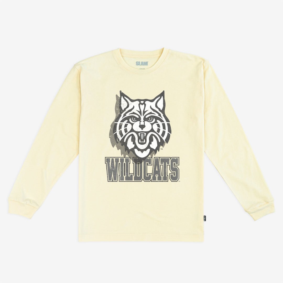 Arizona Monochromatic L/S Tee Hoodie, Sweatshirt | CoreVibeTees.com