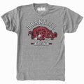 Arkansas Barnhill Arena Vintage Tee Hoodie, Sweatshirt | CoreVibeTees.com
