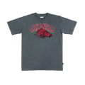 Arkansas Big Logo Heavy Tee Hoodie, Sweatshirt | CoreVibeTees.com