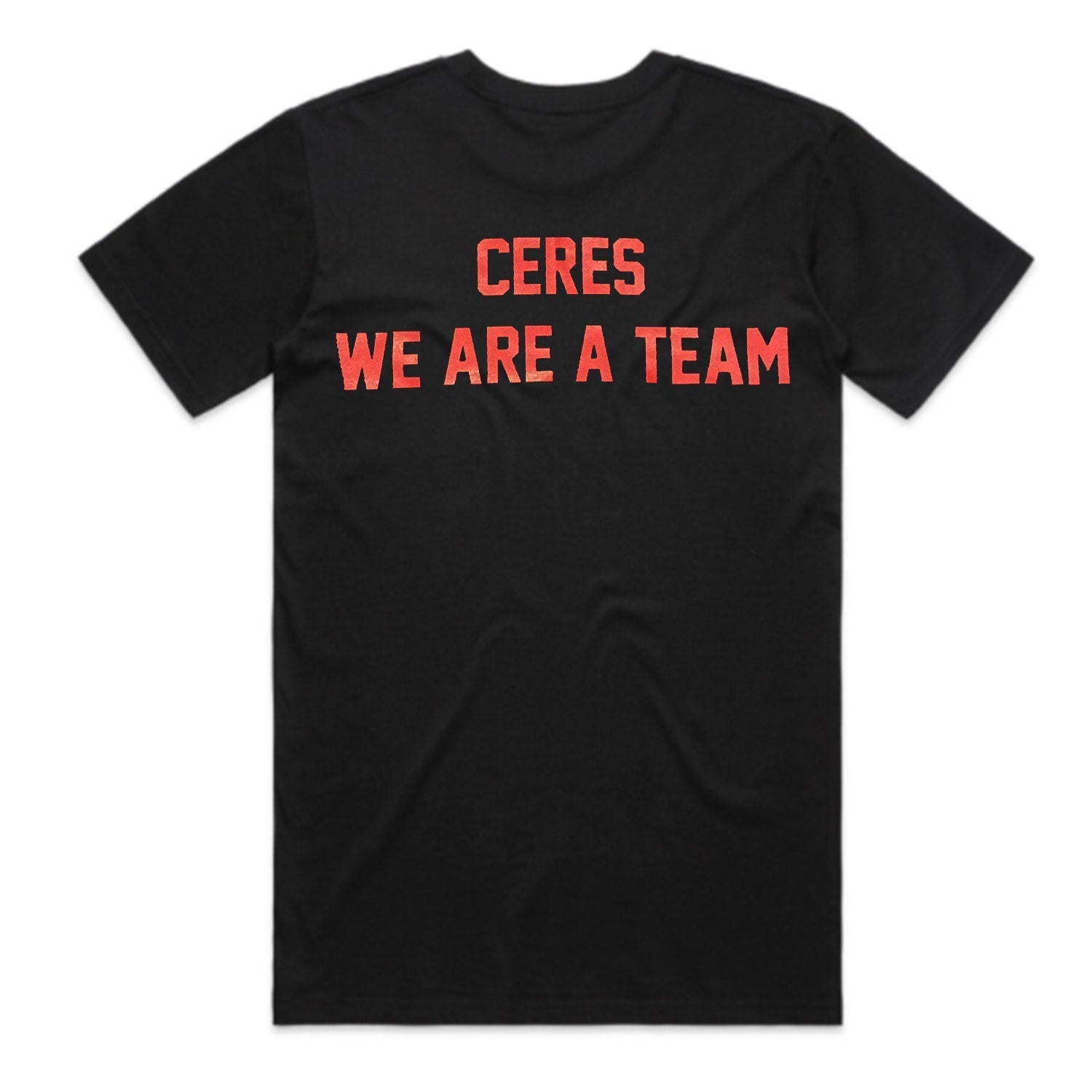 Team Tee (Black) Hoodie, Sweatshirt | CoreVibeTees.com (Image 3)