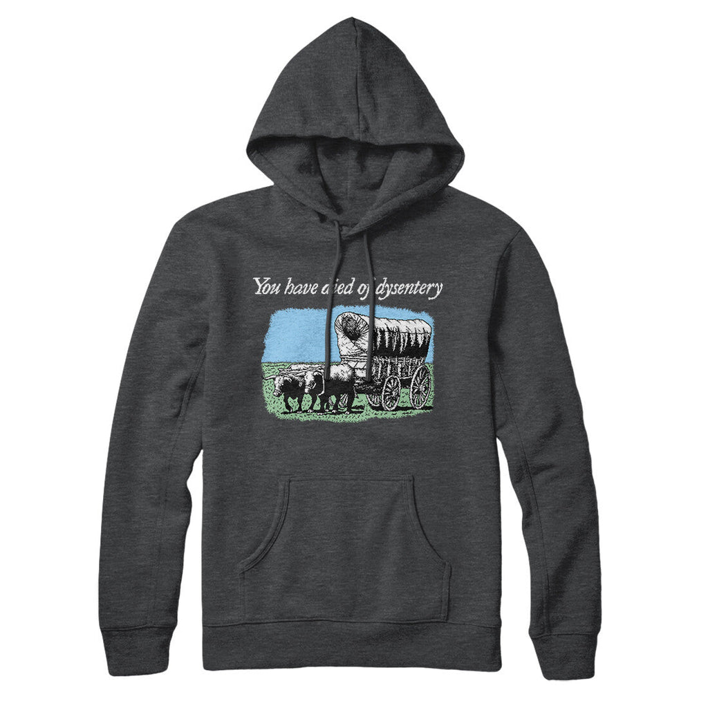 You Have Died Of Dysentery Hoodie T-Shirts, Sweatshirt | CoreVibeTees.com (Image 2)