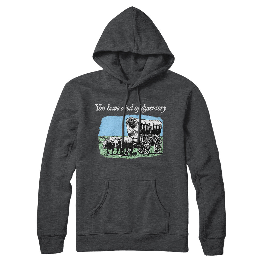 You Have Died Of Dysentery Hoodie T-Shirts, Sweatshirt | CoreVibeTees.com (Image 2)