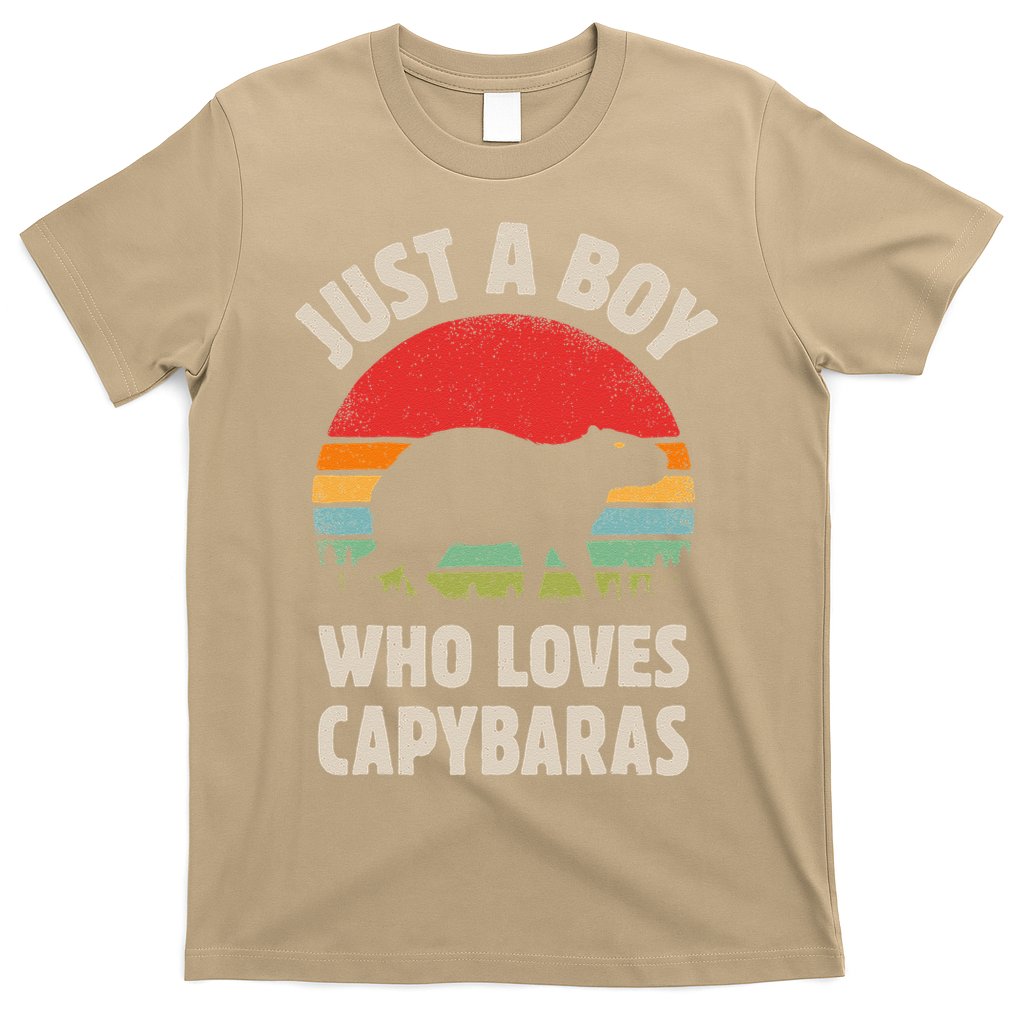 Capybara Just A Boy Who Loves Capybaras Retro Vintage Sunset T-Shirt Hoodie, Sweatshirt | CoreVibeTees.com