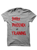 Dark Phoenix At Training T-Shirt Hoodie, Sweatshirt | CoreVibeTees.com