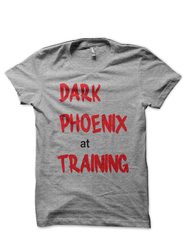 Dark Phoenix At Training T-Shirt Hoodie, Sweatshirt | CoreVibeTees.com