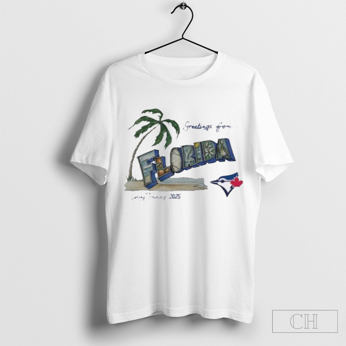 Toronto Blue Jays Tiny Turnip Infant Spring Training 2025 T Shirt Sweater Hoodie, Sweatshirt | CoreVibeTees.com