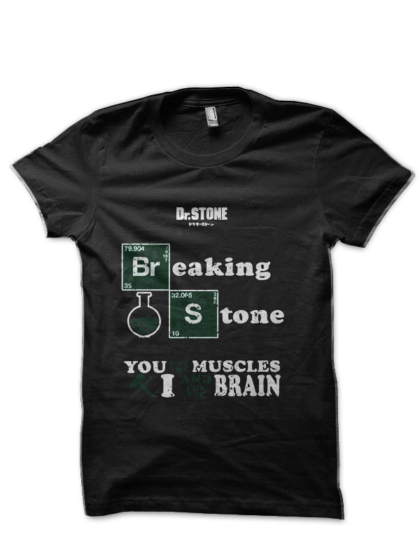 Dr Stone Half Sleeve Black T-Shirt Hoodie, Sweatshirt | CoreVibeTees.com