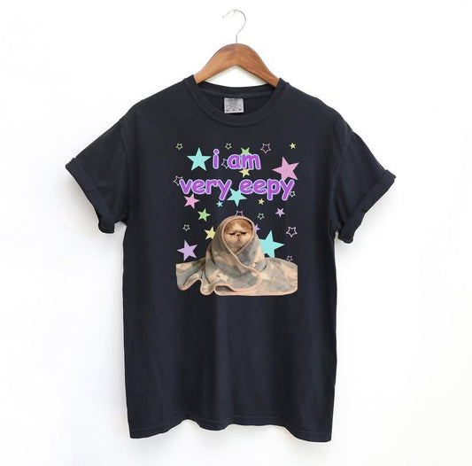 eepy Cat Funny Shirt, Meme Comfort Colors T-Shirt