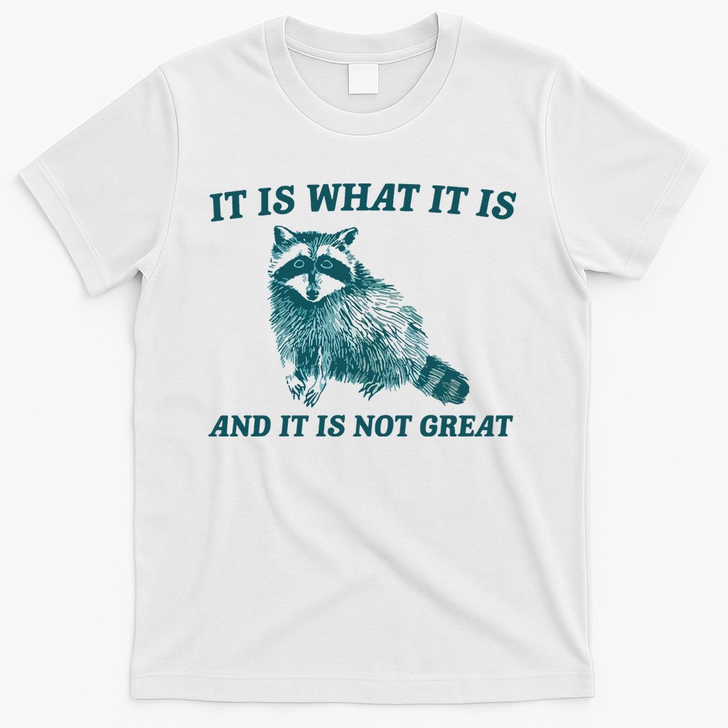 It Is What It Is And It Is Not Great T-Shirt Hoodie, Sweatshirt | CoreVibeTees.com
