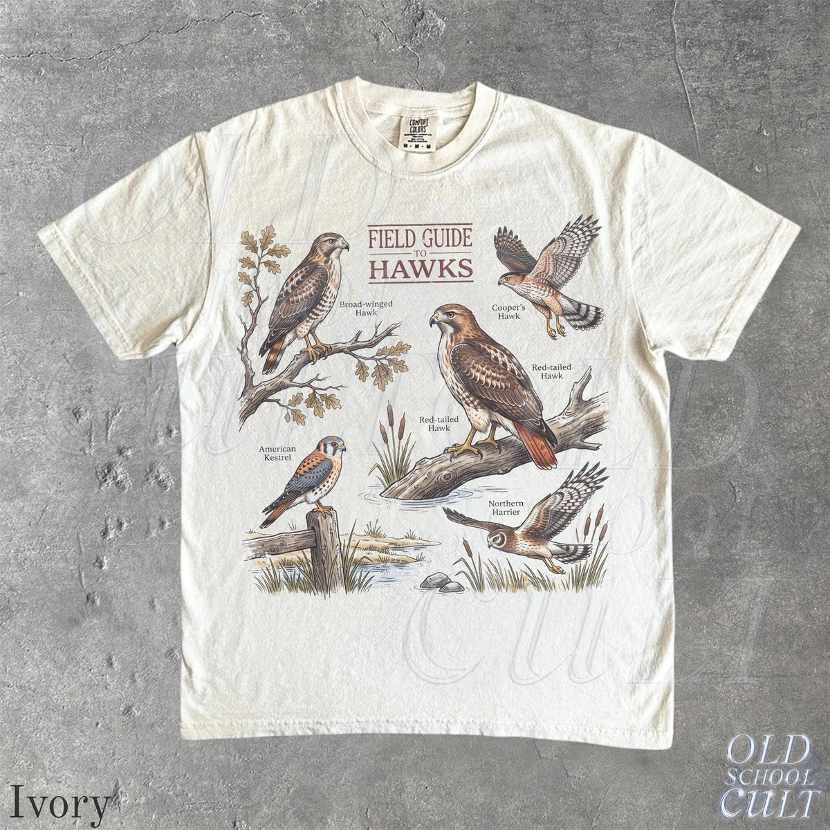 Vintage Hawk Retro Birding Field Guide 90s Nostalgia Art Raptor Lover Nature Ornithology Student Wildlife (3)