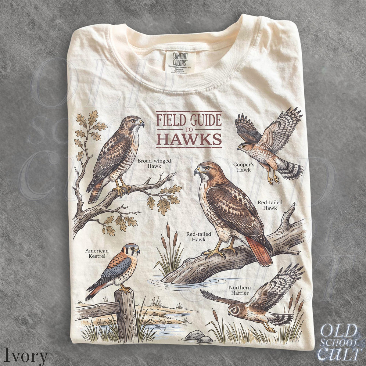 Vintage Hawk Retro Birding Field Guide 90s Nostalgia Art Raptor Lover Nature Ornithology Student Wildlife (1)