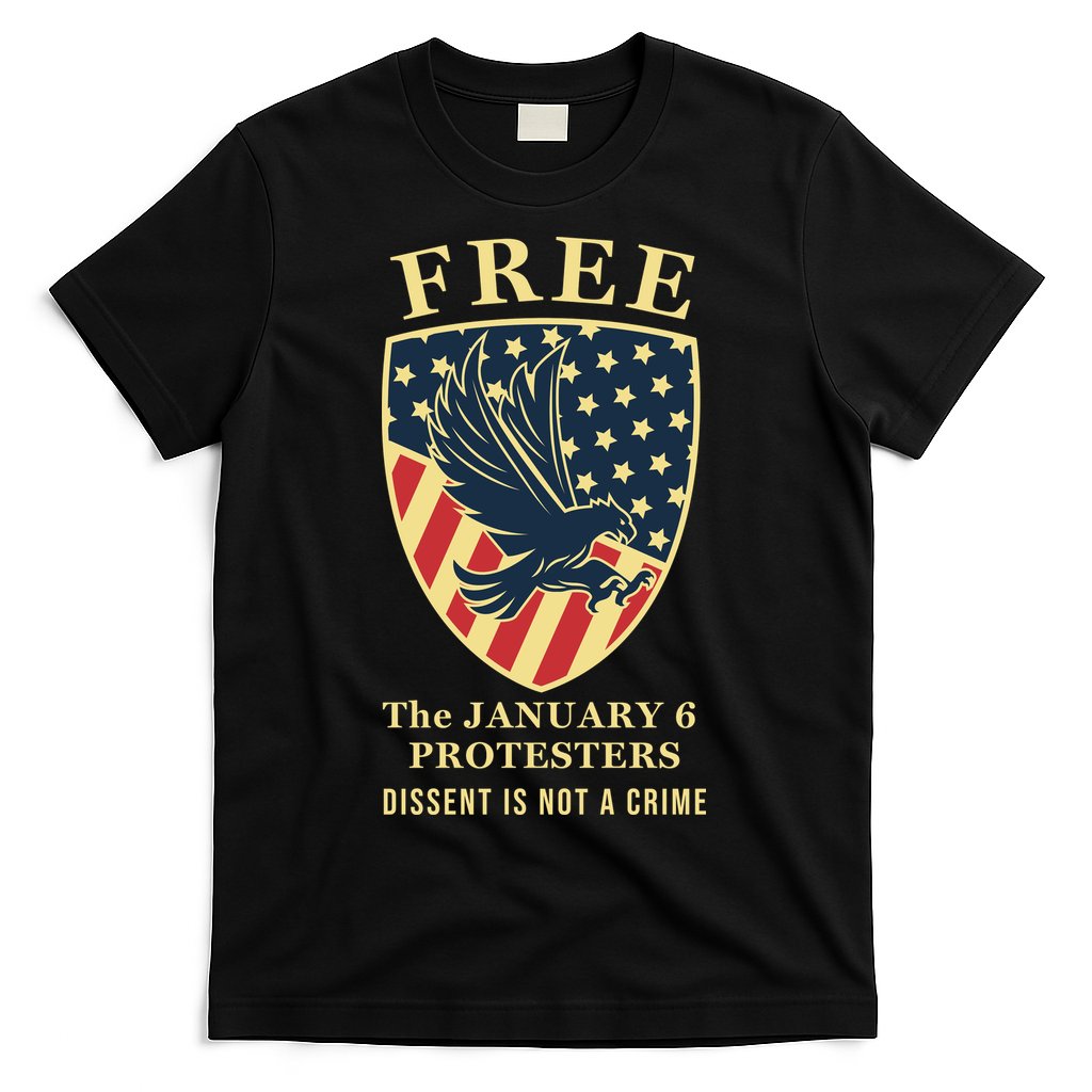 January 6 Conservative Anti Biden Free Speech T-Shirt Hoodie, Sweatshirt | CoreVibeTees.com