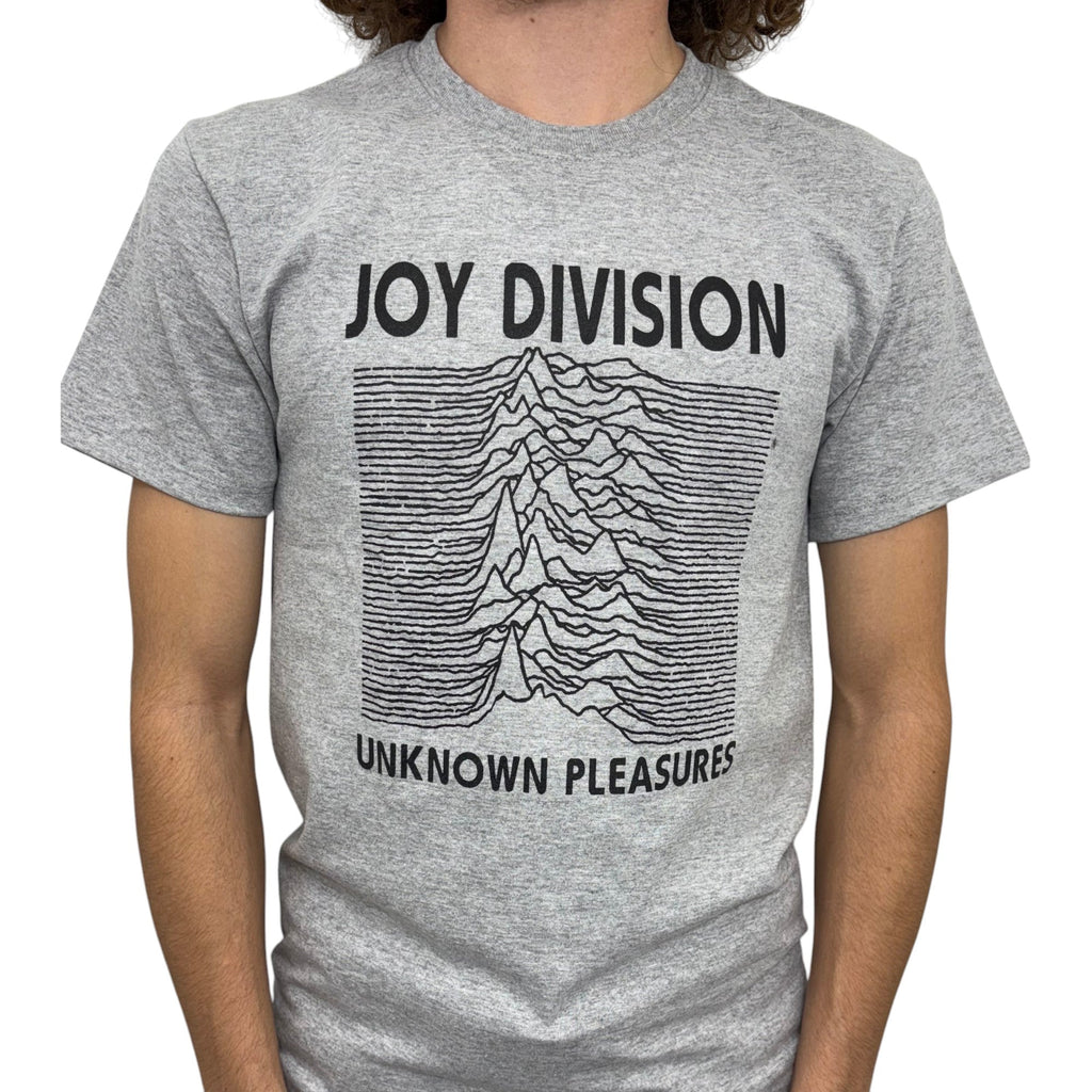 Joy Division Unknown Pleasures Gray T-Shirt Hoodie, Sweatshirt | CoreVibeTees.com (Image 2)