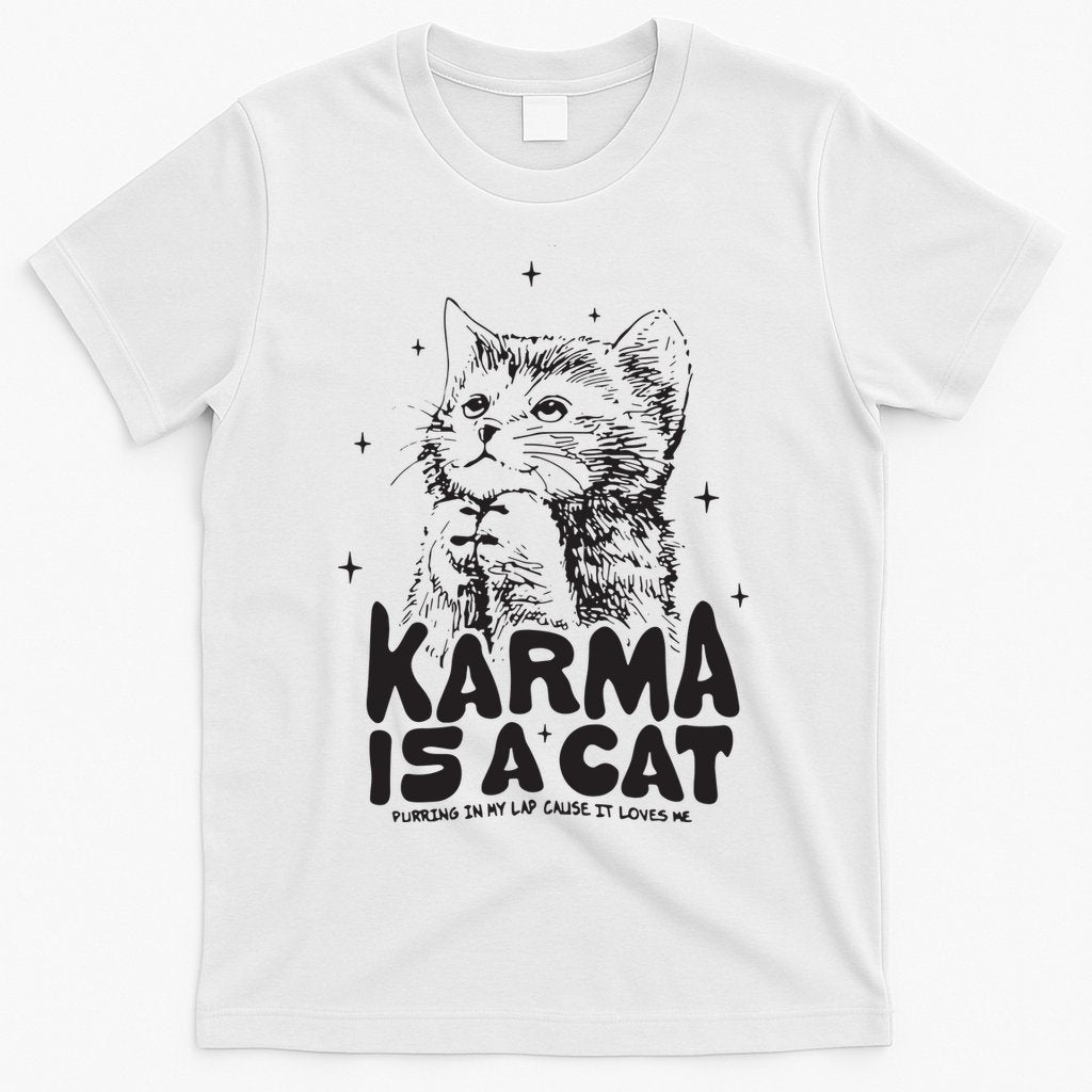 Karma Is A Cat Shirts Taylor Eras Cat Lover T-Shirt Hoodie, Sweatshirt | CoreVibeTees.com