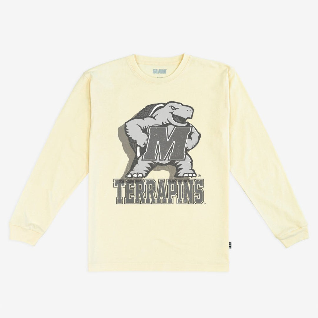 Maryland Monochromatic L/S Tee Hoodie, Sweatshirt | CoreVibeTees.com