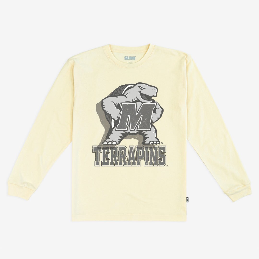 Maryland Monochromatic L/S Tee Hoodie, Sweatshirt | CoreVibeTees.com