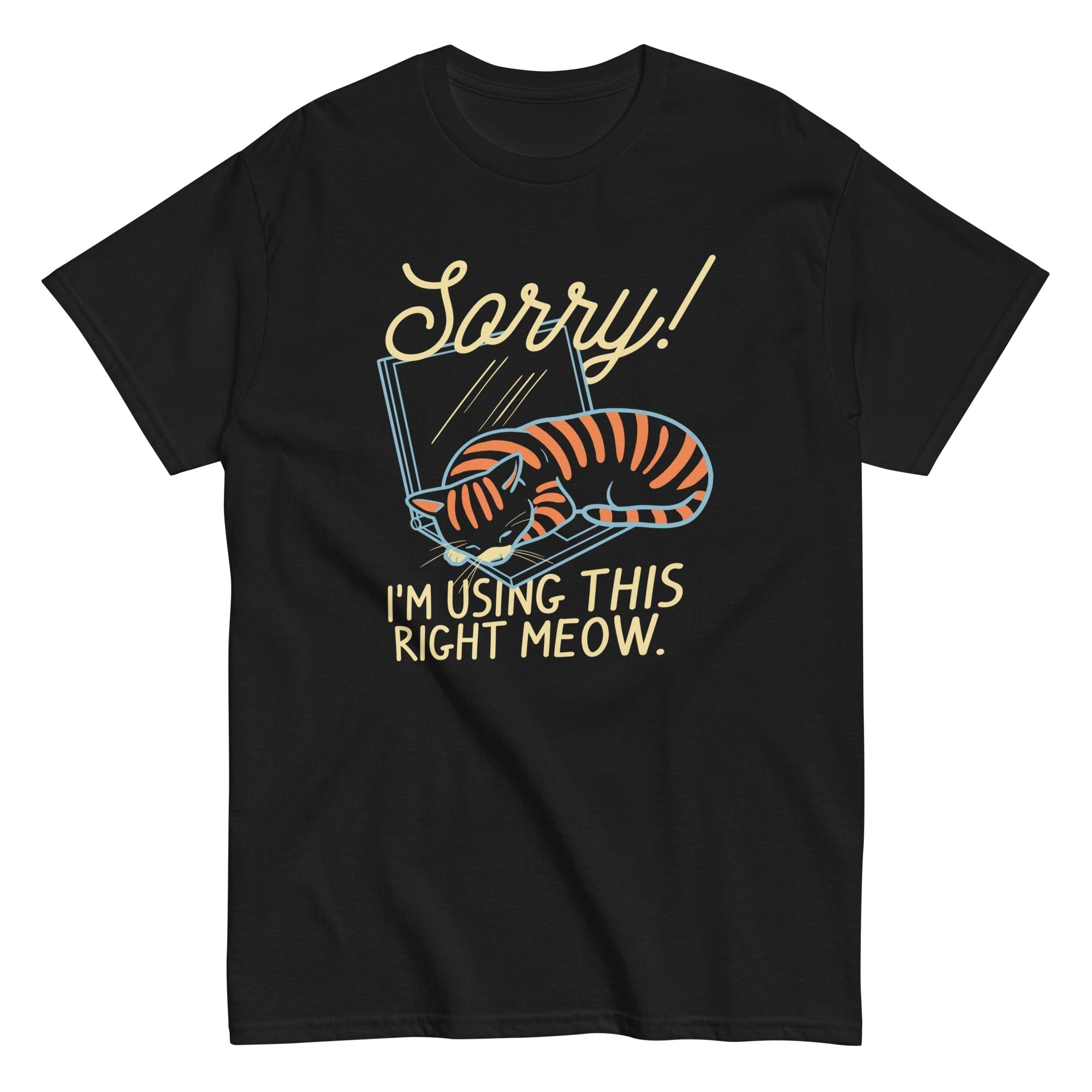 Sorry! I'm Using This Right Meow Men's Classic Tee Hoodie, Sweatshirt | CoreVibeTees.com (Image 3)