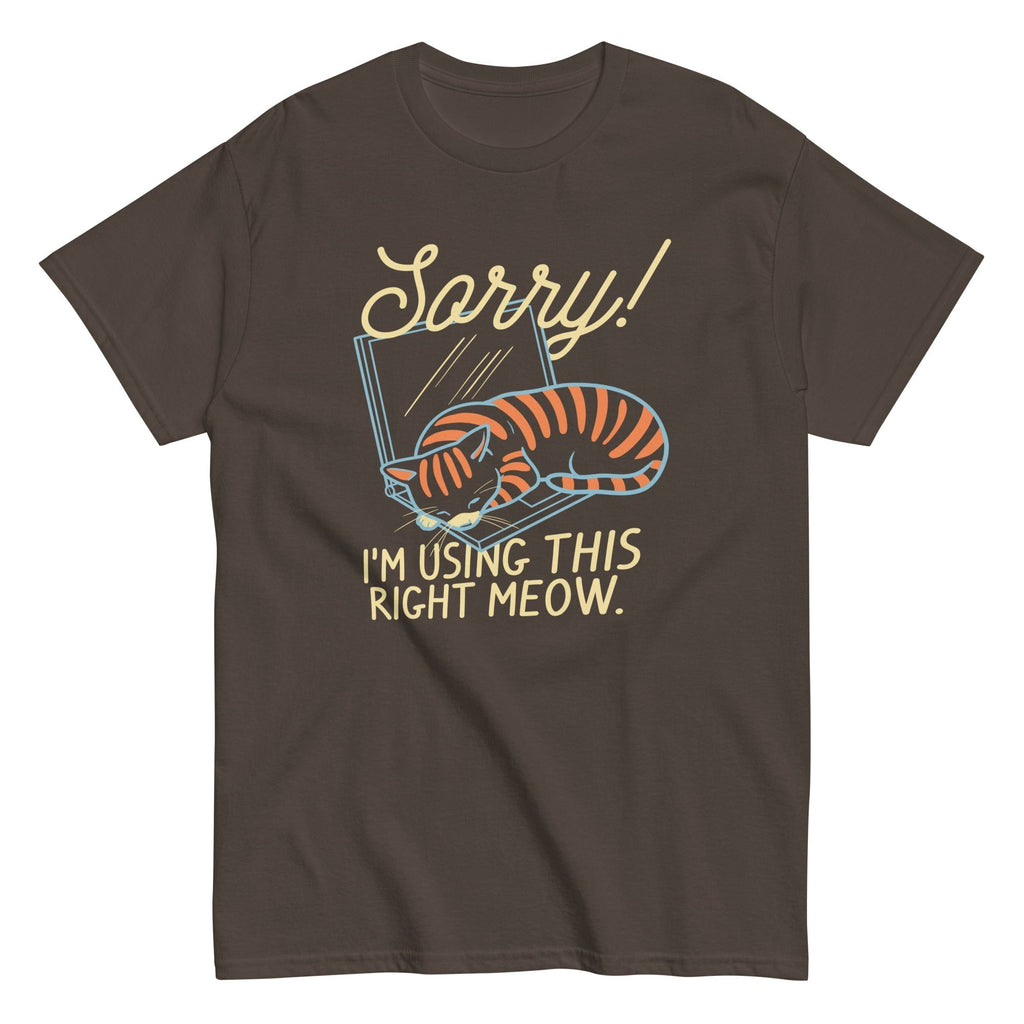 Sorry! I'm Using This Right Meow Men's Classic Tee Hoodie, Sweatshirt | CoreVibeTees.com (Image 4)