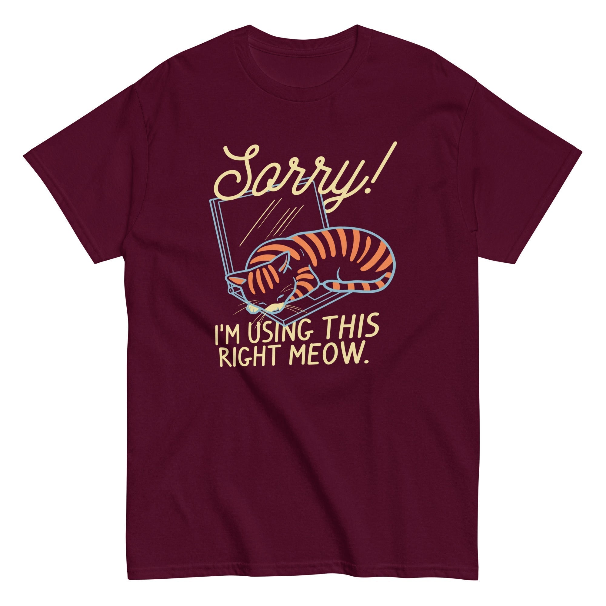 Sorry! I'm Using This Right Meow Men's Classic Tee Hoodie, Sweatshirt | CoreVibeTees.com (Image 2)