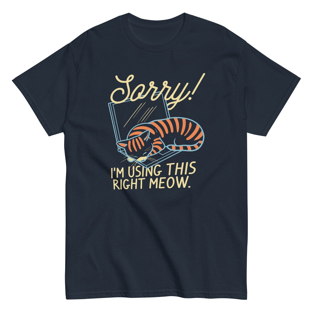 Sorry! I'm Using This Right Meow Men's Classic Tee Hoodie, Sweatshirt | CoreVibeTees.com (Image 1)