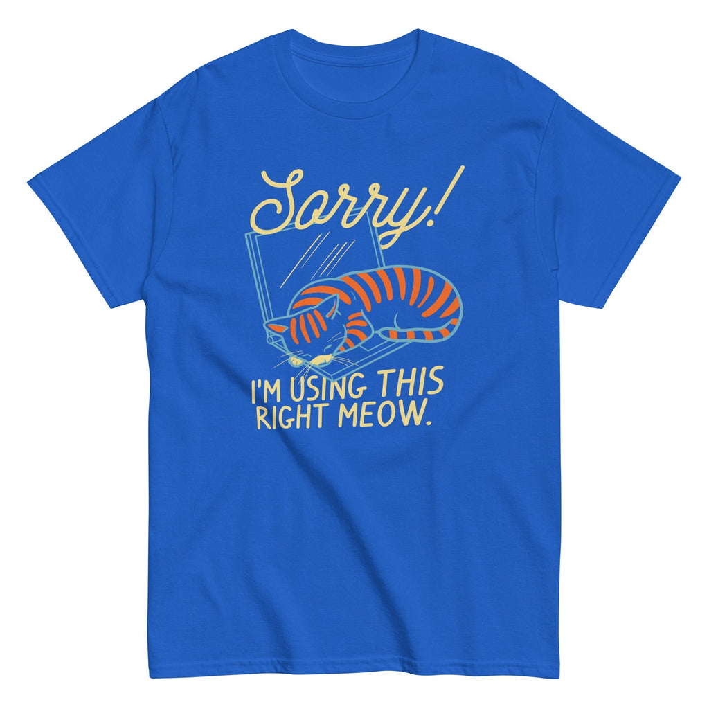 Sorry! I'm Using This Right Meow Men's Classic Tee Hoodie, Sweatshirt | CoreVibeTees.com (Image 5)