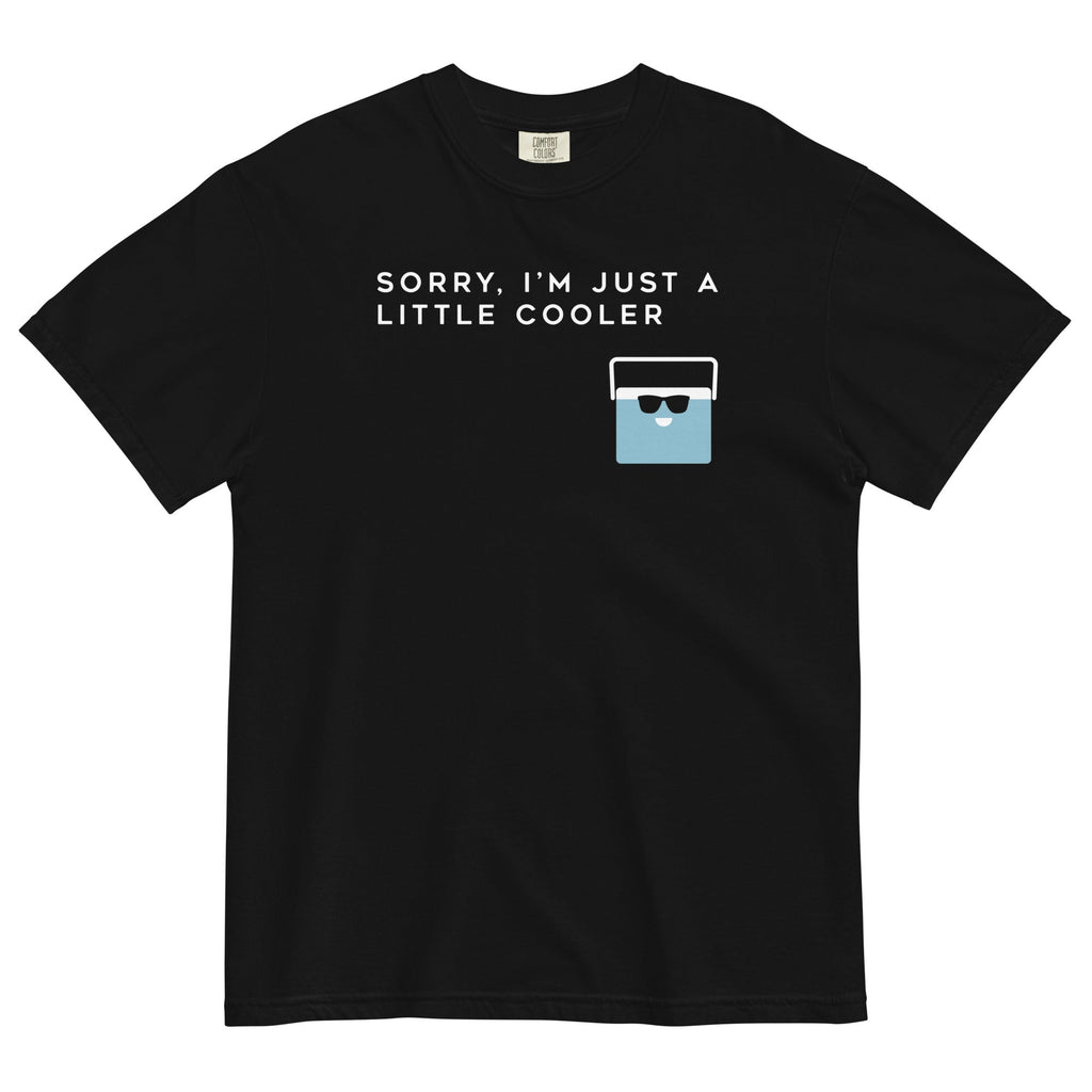 Sorry, I'm Just A Little Cooler Men's Relaxed Fit Tee Hoodie, Sweatshirt | CoreVibeTees.com (Image 1)