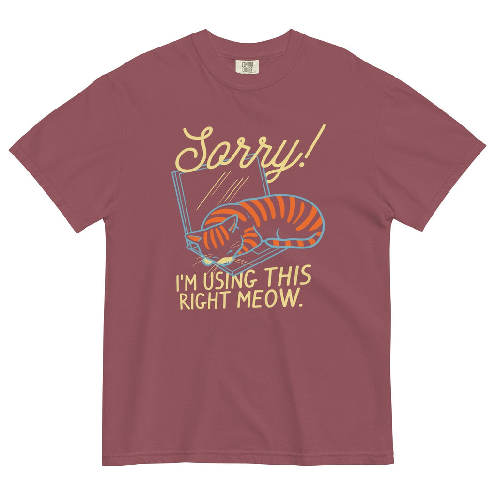 Sorry! I'm Using This Right Meow Men's Relaxed Fit Tee Hoodie, Sweatshirt | CoreVibeTees.com (Image 3)