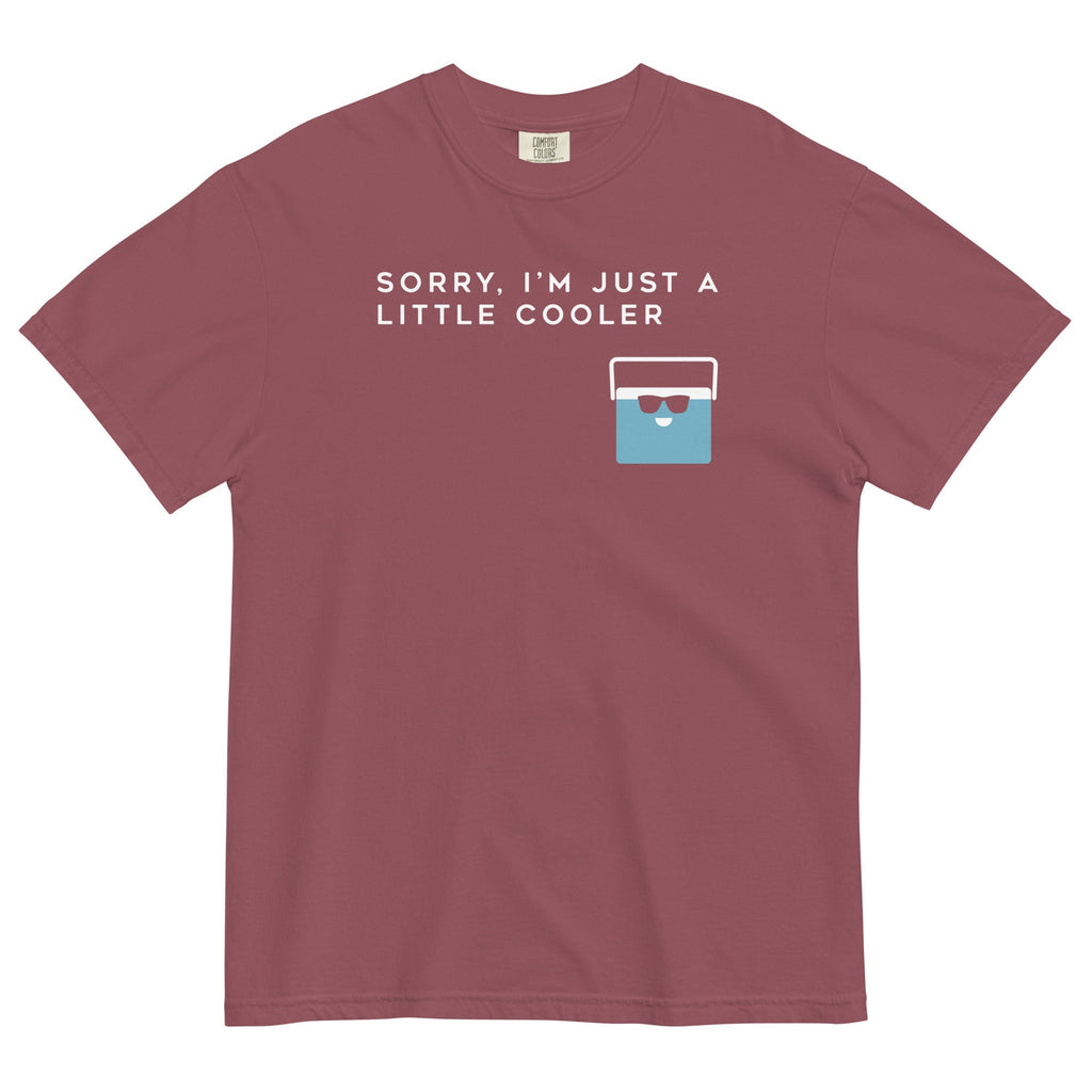 Sorry, I'm Just A Little Cooler Men's Relaxed Fit Tee Hoodie, Sweatshirt | CoreVibeTees.com (Image 3)
