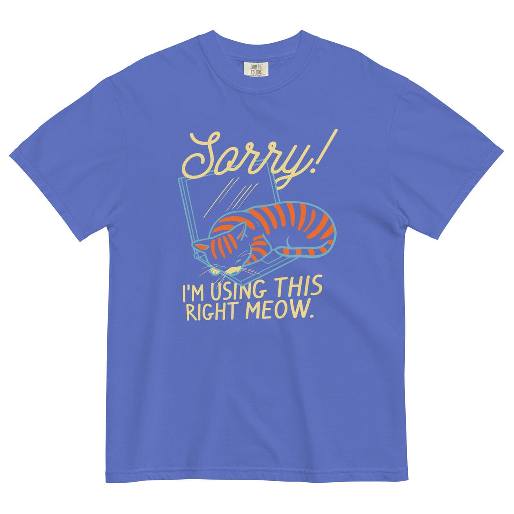 Sorry! I'm Using This Right Meow Men's Relaxed Fit Tee Hoodie, Sweatshirt | CoreVibeTees.com (Image 4)