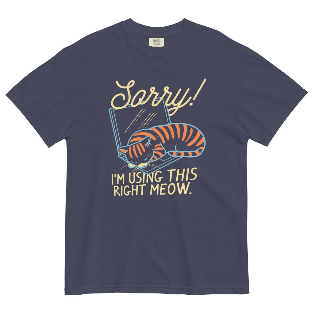 Sorry! I'm Using This Right Meow Men's Relaxed Fit Tee Hoodie, Sweatshirt | CoreVibeTees.com (Image 1)