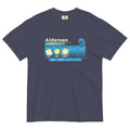 Alderaan 5 Day Forecast Men's Relaxed Fit Tee Hoodie, Sweatshirt | CoreVibeTees.com (Image 1)