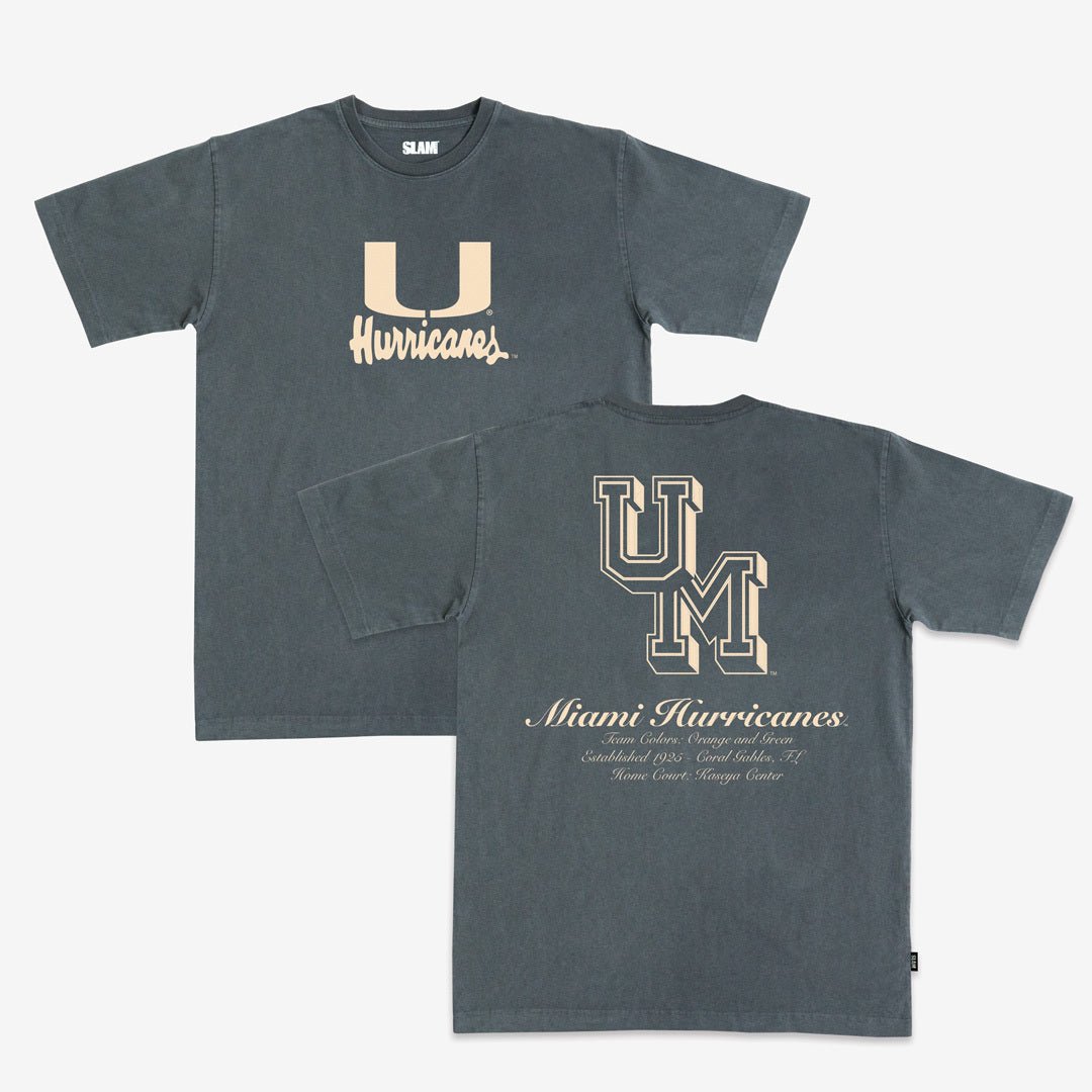 Miami Homecourt Heavy Tee Hoodie, Sweatshirt | CoreVibeTees.com