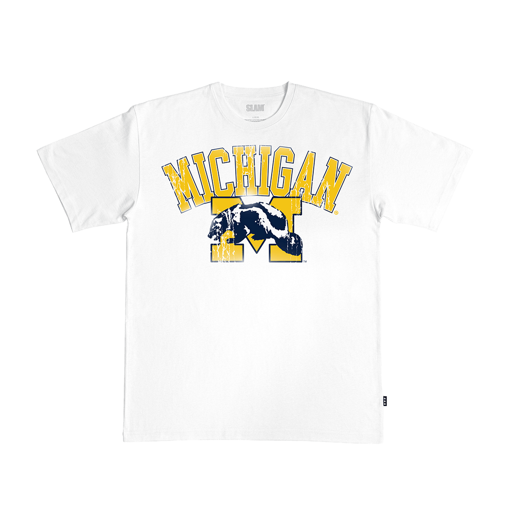 Michigan Big Logo Heavy Tee Hoodie, Sweatshirt | CoreVibeTees.com