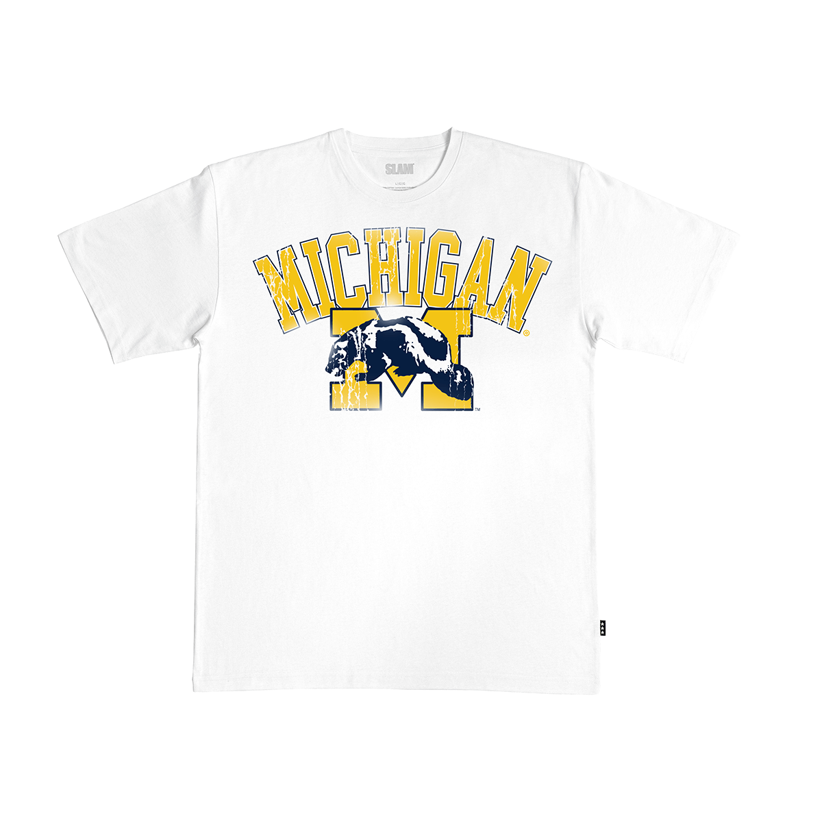 Michigan Big Logo Heavy Tee Hoodie, Sweatshirt | CoreVibeTees.com