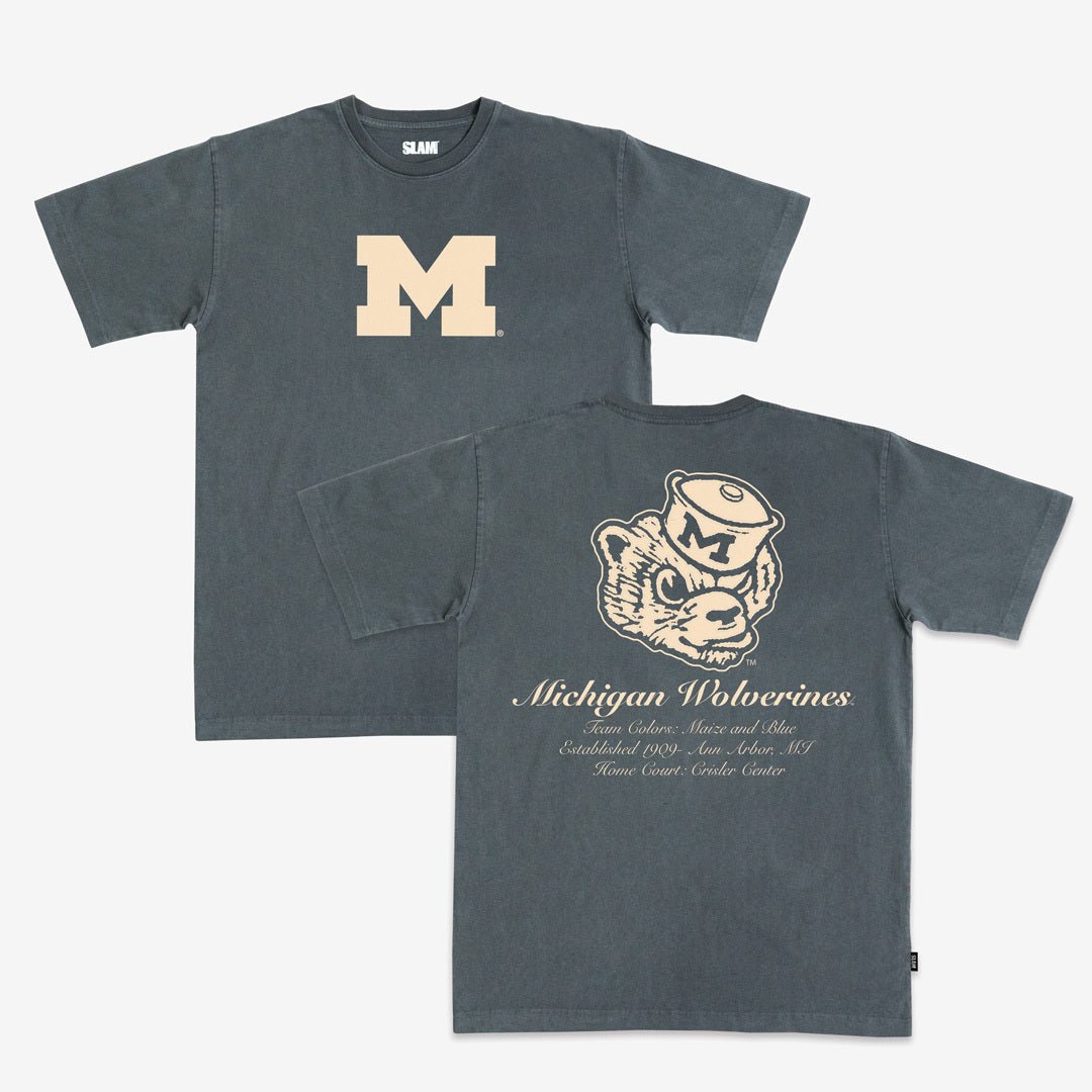 Michigan Homecourt Heavy Tee Hoodie, Sweatshirt | CoreVibeTees.com