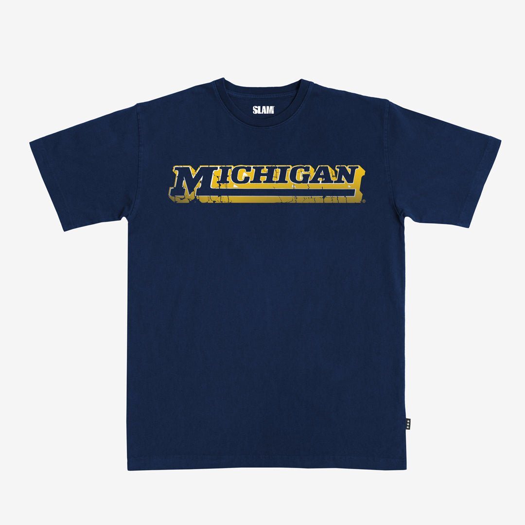 Michigan Logo Heavy Tee Hoodie, Sweatshirt | CoreVibeTees.com