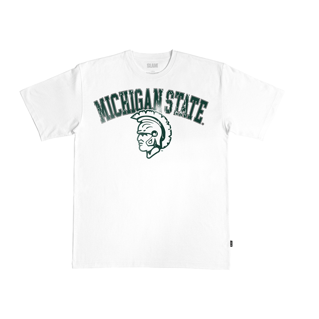 Michigan State Big Logo Heavy Tee Hoodie, Sweatshirt | CoreVibeTees.com
