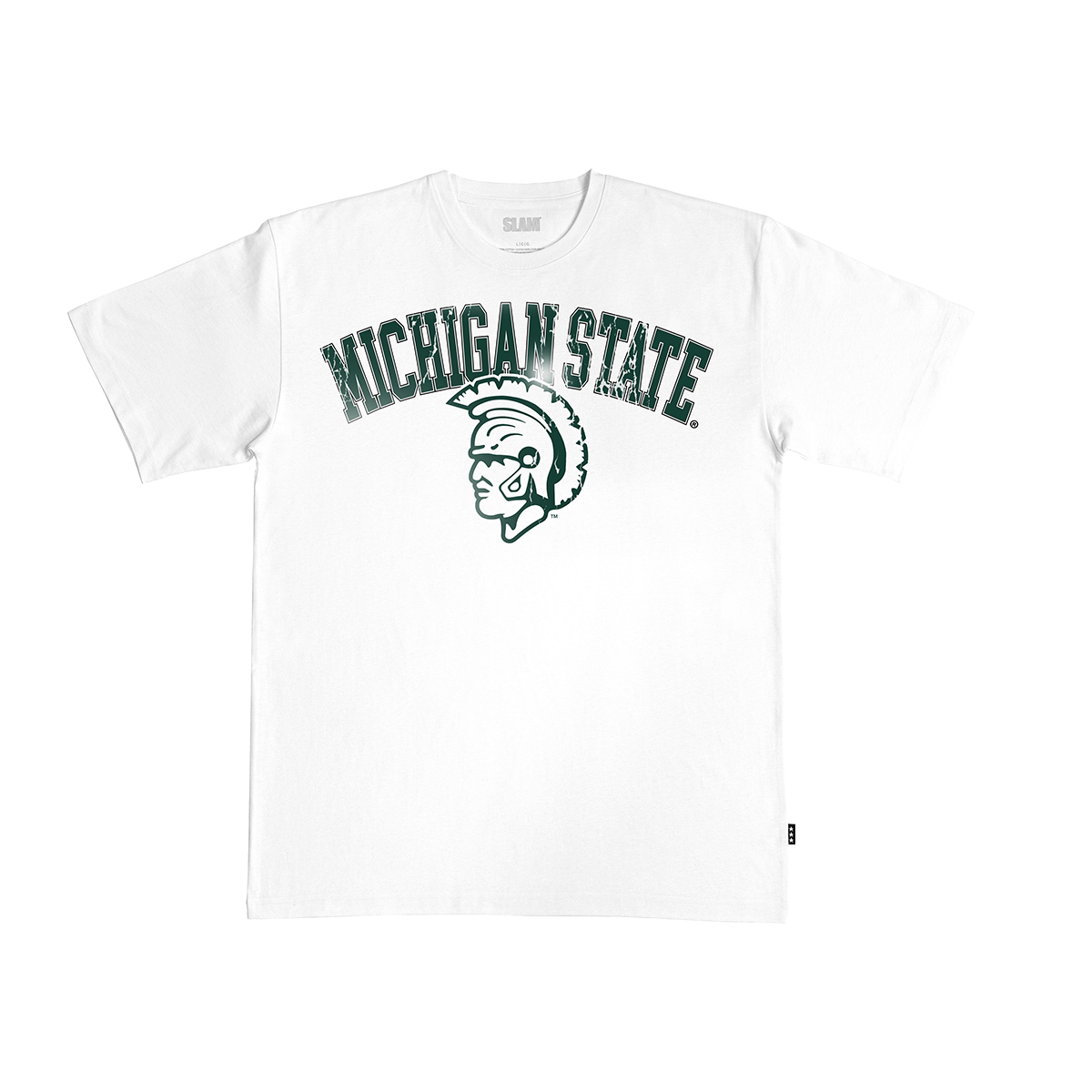Michigan State Big Logo Heavy Tee Hoodie, Sweatshirt | CoreVibeTees.com