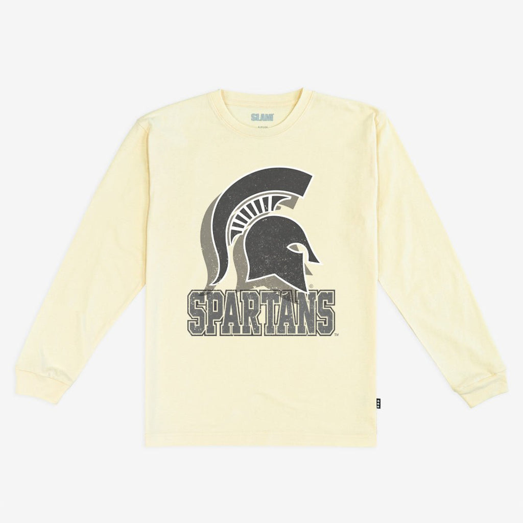 Michigan State Monochromatic L/S Tee Hoodie, Sweatshirt | CoreVibeTees.com