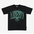 New York Liberty Gradient Heavy Tee Hoodie, Sweatshirt | CoreVibeTees.com