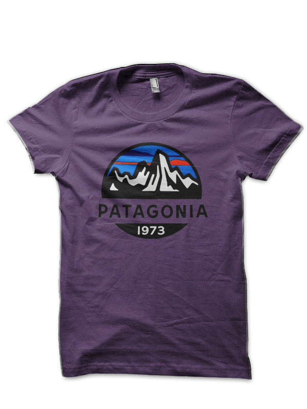 Patagonia 1973 T-Shirt Hoodie, Sweatshirt | CoreVibeTees.com