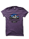 Patagonia 1973 T-Shirt Hoodie, Sweatshirt | CoreVibeTees.com