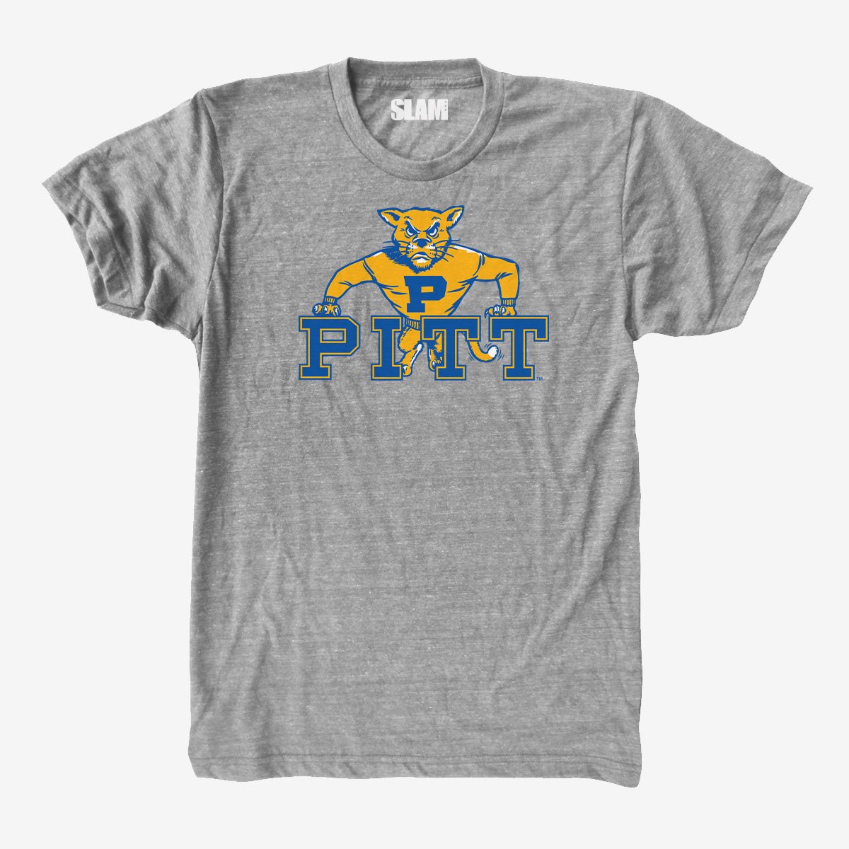 PITT Vintage Tee Hoodie, Sweatshirt | CoreVibeTees.com