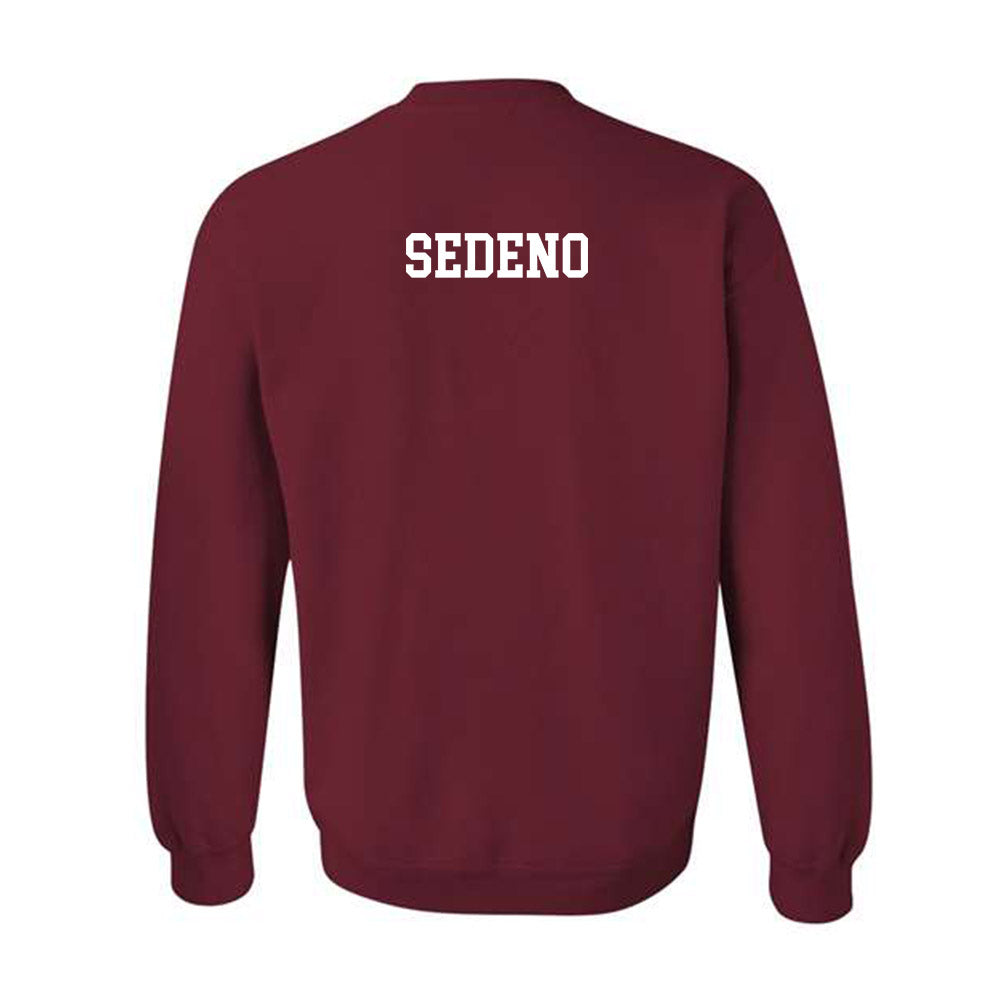 Alabama - Mens Golf Alumni : Josh Sedeno - Crewneck Sweatshirt T-Shirts, Hoodie | CoreVibeTees.com (Image 2)