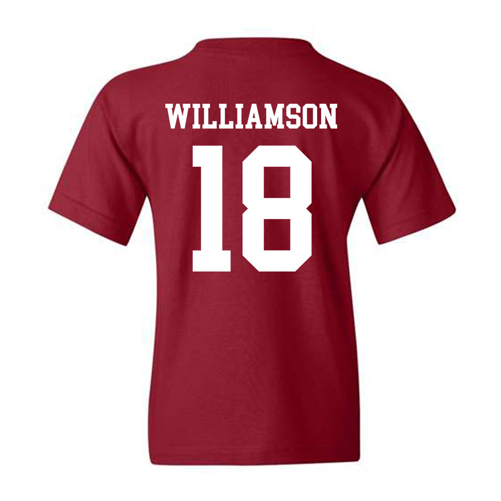 Alabama - Baseball Alumni : Drew Williamson - Classic Shersey Youth T-Shirt Hoodie, Sweatshirt | CoreVibeTees.com (Image 2)